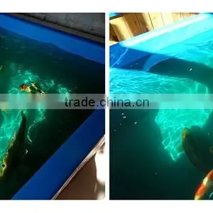 Fiberglass Aquarium Fish Pond thumbnail-1