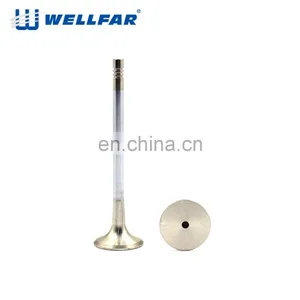 Wellfar High Quality Europea 21-4N Engine Parts Oe 06D 109 611H C7 Intake And Exhaust Engine Valves thumbnail-5