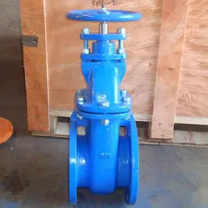 Wear Resistant BS Rising Stem Gate Valve for Sewage Conveyance thumbnail-4