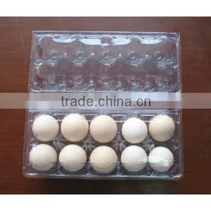 10 Cavities Plastic Egg Box,PVC PET Egg Packing Tray thumbnail-1