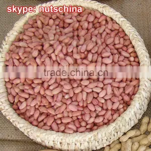 Blanched Peanuts 25/29 29/33 35/39 (VIRGINIA TYPE) thumbnail-4