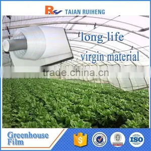 Professional Factory Greenhouse Plastic Film, PE Greenhouse Plastic thumbnail-3