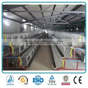 Steel Structure Chicken House thumbnail-4