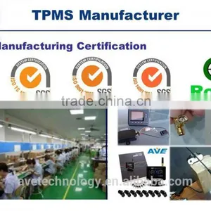 AVE TPMS T100 Best RS232 Data Cable Output thumbnail-2