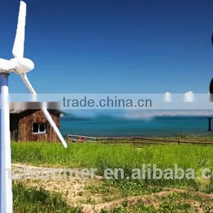 Reliabe and Quiet Running Wind Turbine Generator 3kw for Home /farm/base Station thumbnail-6