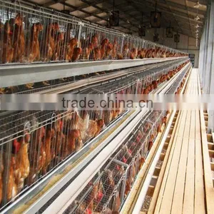 Hot Sale!!!High Quality Industrial Metal Steel Frame Laying Hen Egg Chicken House thumbnail-1