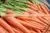 Carrot thumbnail-1