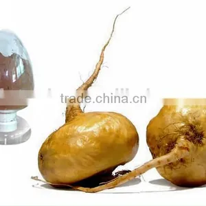 High Quality 100% Natural Maca Powder, Maca Extract, 10:1 Maca Root Powder thumbnail-5