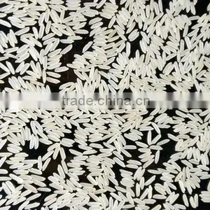 PR11 BASMATI RICE thumbnail-1