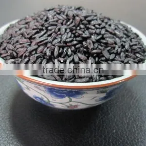 Black Rice thumbnail-3