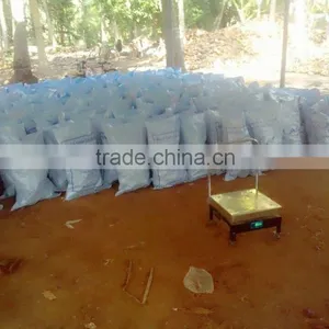 Fresh Coconuts From Kerala thumbnail-4