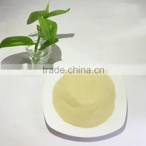 100% Natural Wheat Peptide Wheat Oligopeptides Powder for Health thumbnail-2