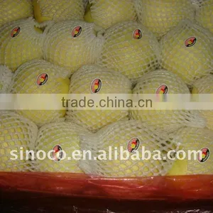 Chinese Golden Apples Fruit 18kg Ctn thumbnail-1
