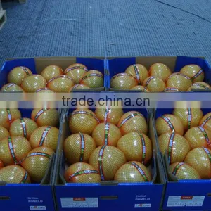 2015 Crop Fresh Honey Pomelo Pack 15kg Fruit Carton Box thumbnail-2