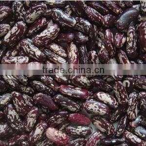 Dry Chinese Purple Speckled Kidney Bean thumbnail-1