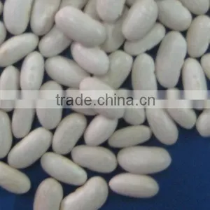 New Crop White Beans thumbnail-1