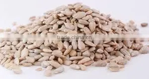 Sunflower Kernels With Good Price Bakery Type Sunflower Seeds thumbnail-4