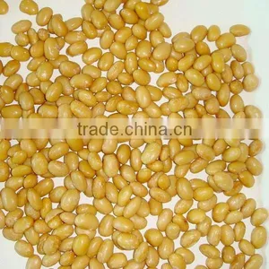CANNED SOYBEAN thumbnail-1
