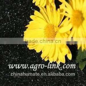 Top Dressing Humic Acid Granule thumbnail-1