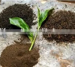 Pure Chinese Herbal Tea/Hawthorn Leaf Tea thumbnail-2