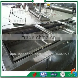 Fruit&vegetable Chain Type Blanching Machine thumbnail-3
