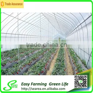 Arch Pips Greenhouse for Crops thumbnail-1