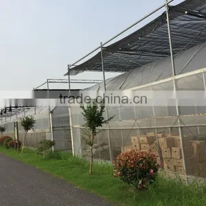 Agicultural Greenhouse thumbnail-2