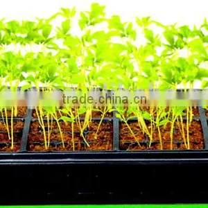 20x10" Durable Waterproof Seedling Heat Mat Warm Hydroponic Heating Pad thumbnail-4