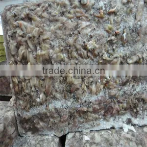Frozen Cooked Squid/seafood Supplier thumbnail-1