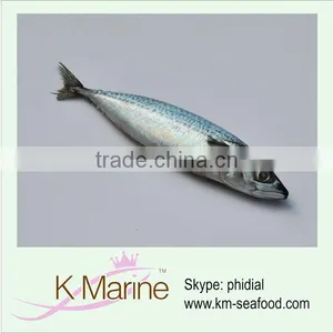 China Frozen Mackerel Fish thumbnail-1