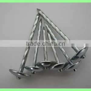 2.5'' Umberlla Roofing Nails, 25kg per Carton/50kg/gunny Bag thumbnail-5