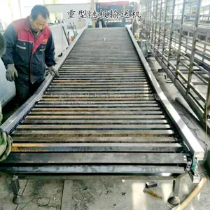 Stainless Steel Conveyor, Low Cost and High Quality Professional Manufacturers thumbnail-1