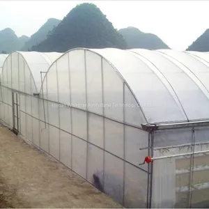 Durable Multi Span Agriculture Equipment Polythene Greenhouse thumbnail-1