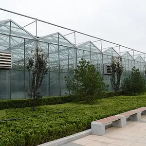 Agricultural Glass Greenhouse for Planting/Hydroponic Planting thumbnail-5