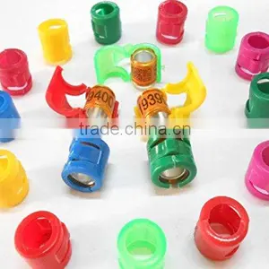 Dutch Netherland Pigeon Foot Ring thumbnail-1