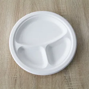 Eco Friendly Disposable Tray thumbnail-1