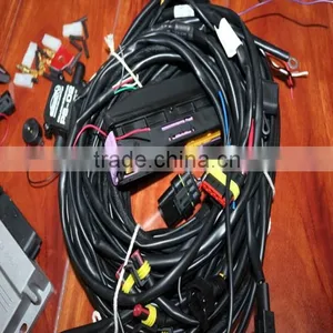 LPG Conversion Kit for Cars / Gas Conversion Kit thumbnail-1