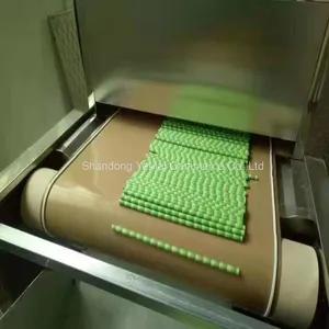 Continuous Microwave Paper Processing Plant Paper Dryer Machine thumbnail-5