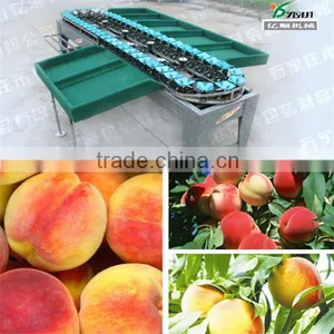 Sorter Type Onion Sorting Machine thumbnail-3