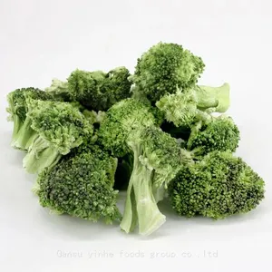 Factory's Best Selling Freeze Dried Broccoli thumbnail-2