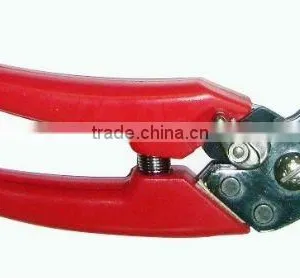 PRUNER thumbnail-1