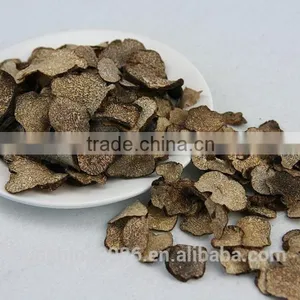 Wild Chinese Black Truffle Mushroom in Yunnan thumbnail-3