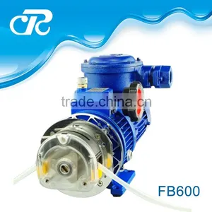 Explosion Proof Pumps thumbnail-1