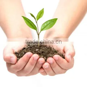 Growing Medium thumbnail-1