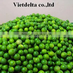 Fresh Green Lemon & Lime - Good Price and High Quality When the Crop is Coming thumbnail-1