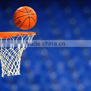 Basketball Hoop Basketball Equipment thumbnail-1
