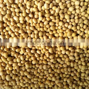 Soybean thumbnail-1
