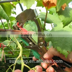 Fix Capsicum Tapetool thumbnail-2