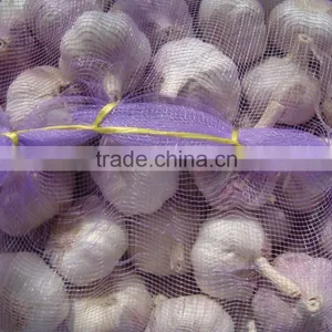 Fresh Garlic thumbnail-4