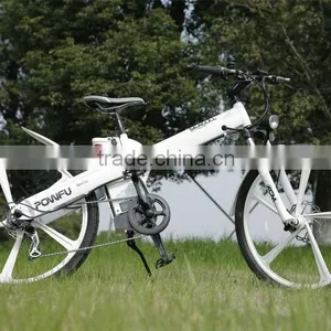 Hot Sale EN 15194 Electric Bicycle With Motor Front Mag Wheel thumbnail-5